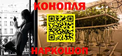 ALPHA PVP Обь