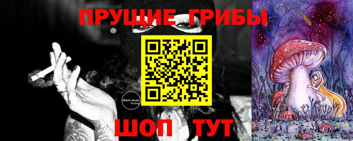 Галлюциногенные грибы Psilocybine cubensis Спасск-Дальний