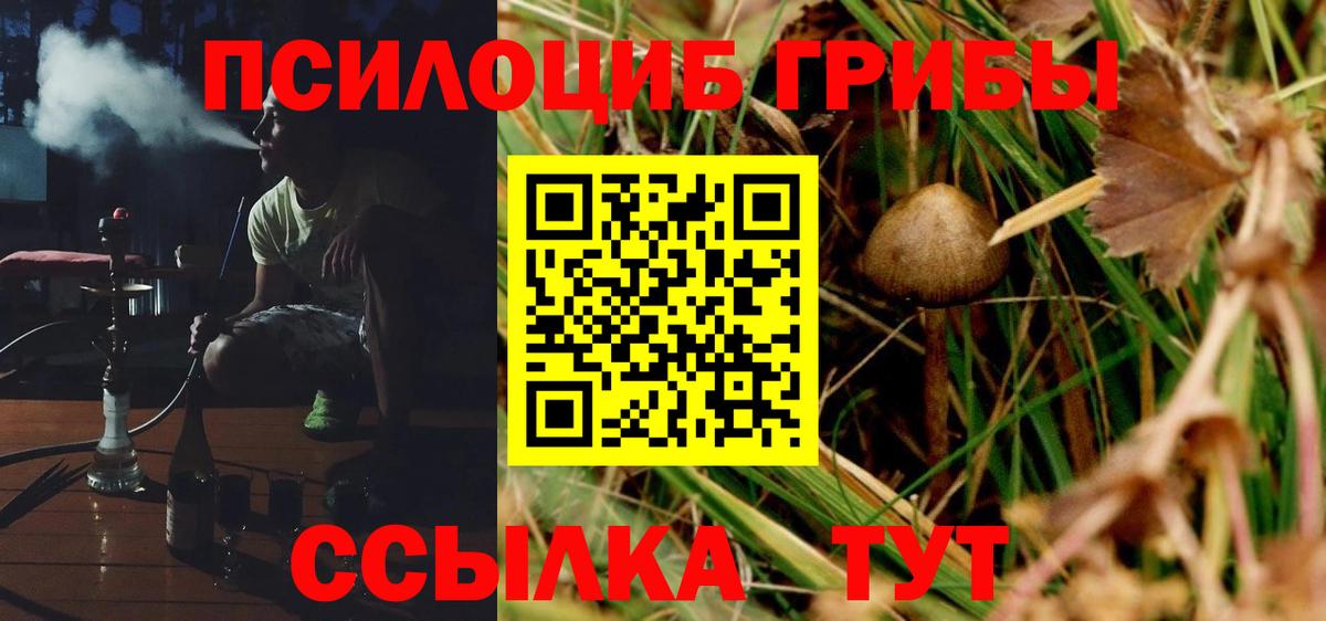 Псилоцибиновые грибы Cubensis  Галлюциногенные грибы MAGIC MUSHROOMS  Вход с VPN  Спасск-Дальний 